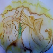 Отношения между мужчиной и женщиной, как найти свою половинку, как сохранить, улучшить свои отношения.